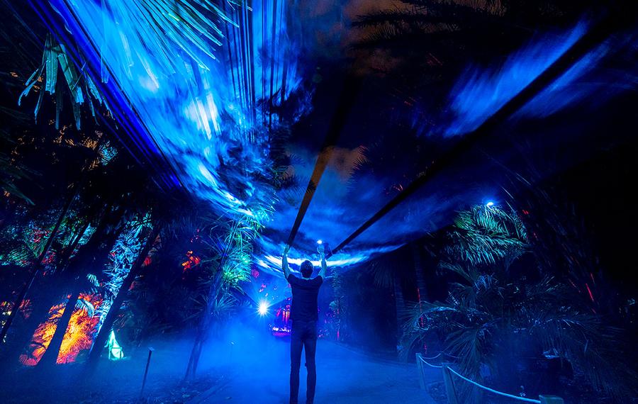 Naturaleza Encendida: Navegantes, Projektions-Show in Córdoba