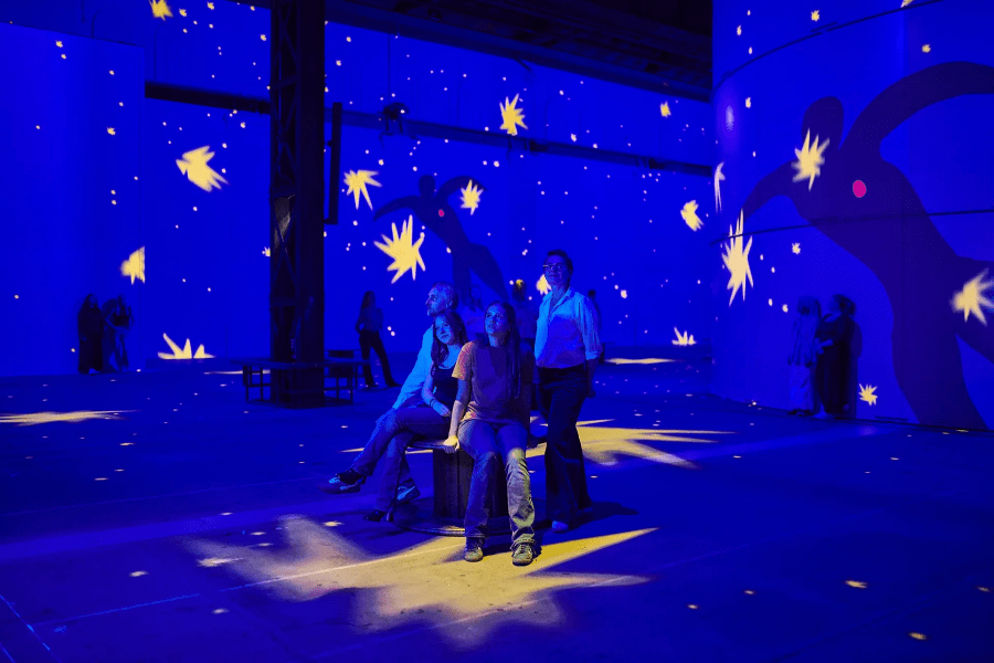 Matisse - Symphonie der Farben - Impresiones