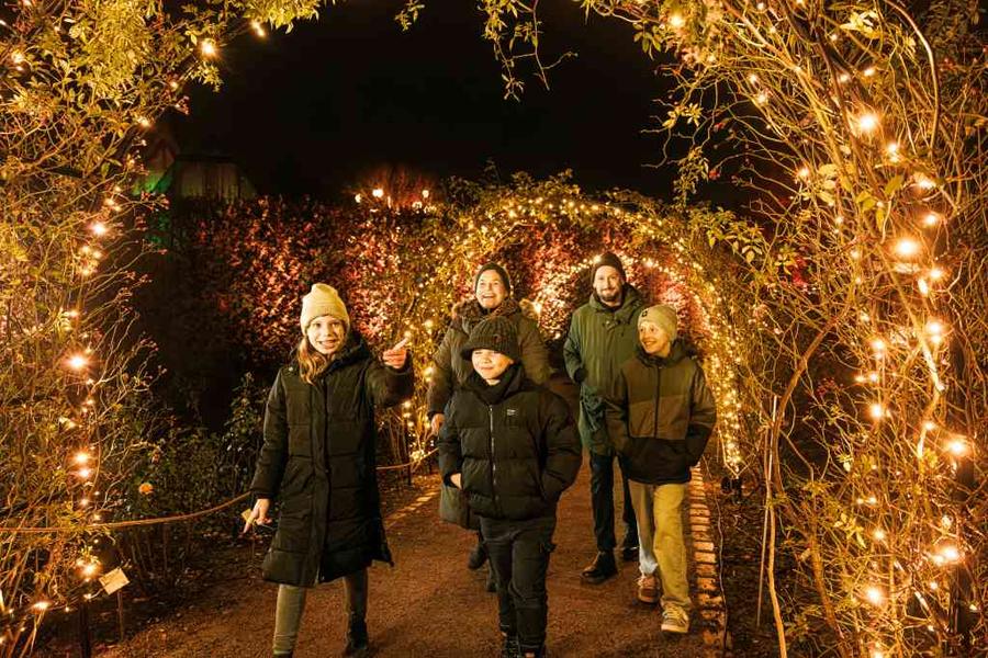 Christmas Garden Hamburg, Festival in Hamburg