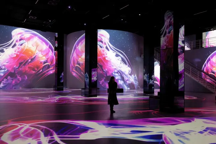Ocean Wonders: An Immersive Dive (Port des Lumières), mostra immersiva ad Amburgo