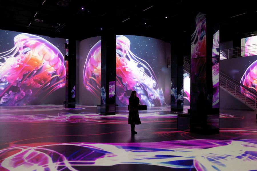 Ocean Wonders: An Immersive Dive (Port des Lumières)