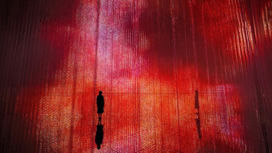 UBS Digital Art Museum - teamLab Borderless Hamburg