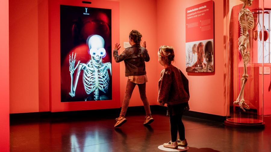 Ai: de expo (AI: the expo), KI-Kunst-Ausstellung in Kerkrade