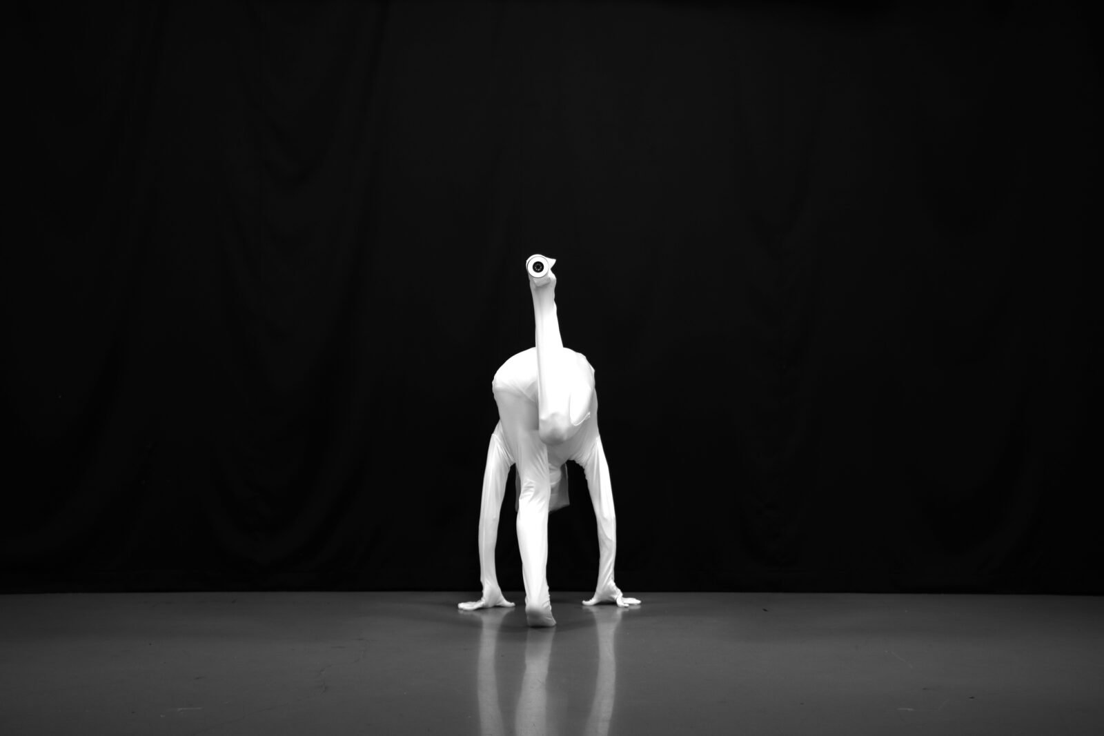 Prix Ars Electronica: Prize Winners Exhibition