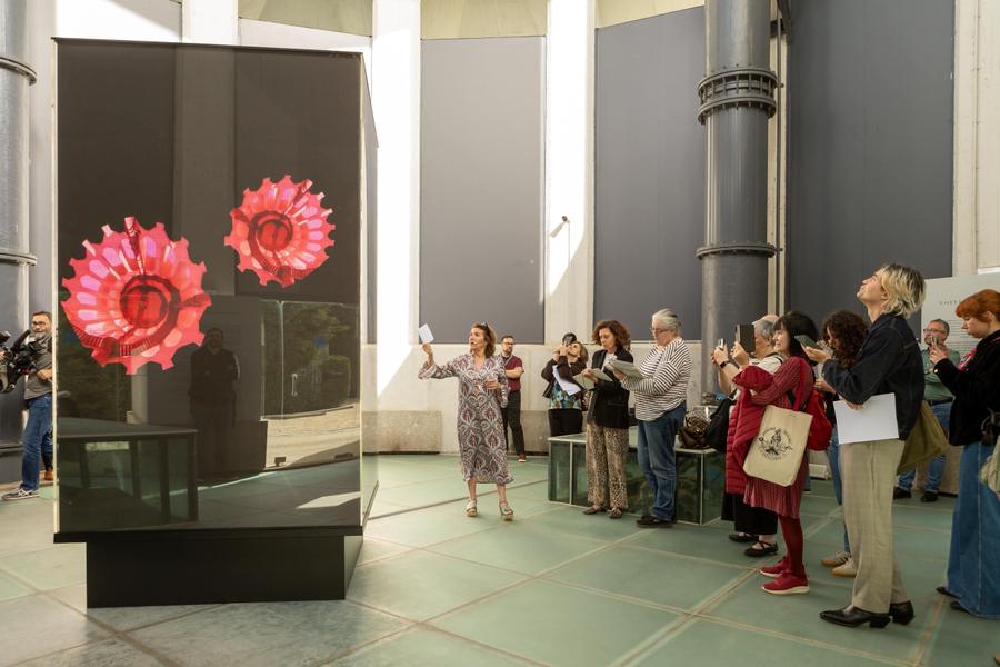 Volver a mirar (Rosa Muñoz), Projektions-Show in Madrid