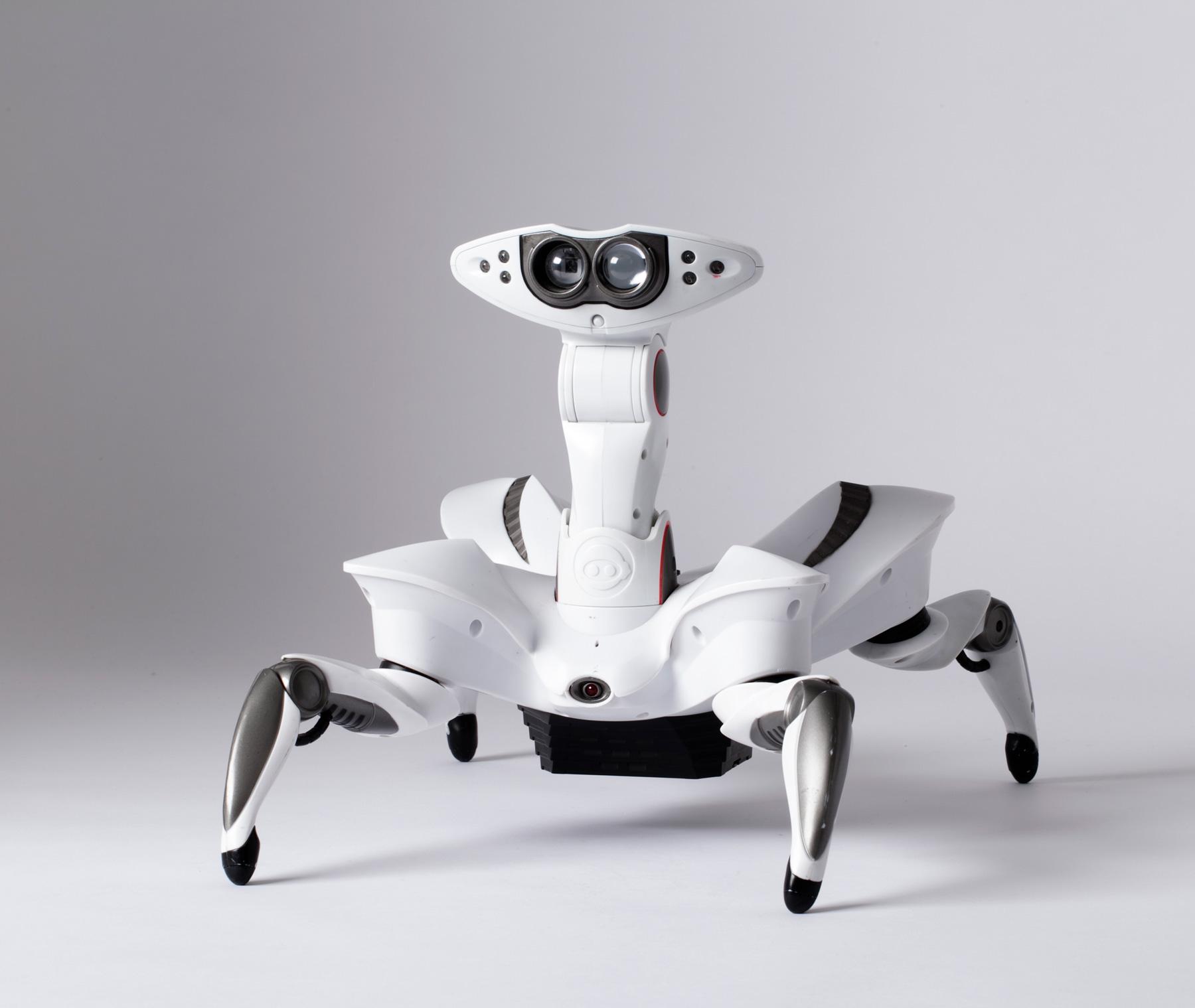 Robotic Worlds