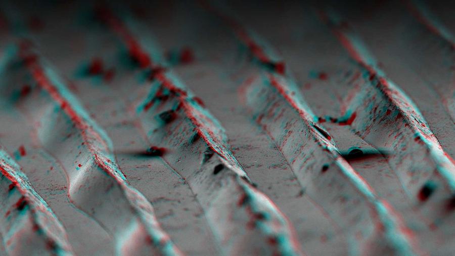 Le Monde invisible, Digitale Ausstellung in Rennes