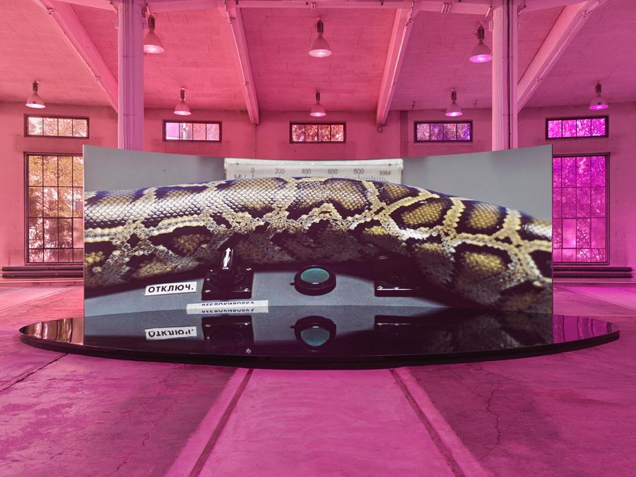 Emilija Škarnulytė: Arrow of Time, Immersive Ausstellung in St. Gallen