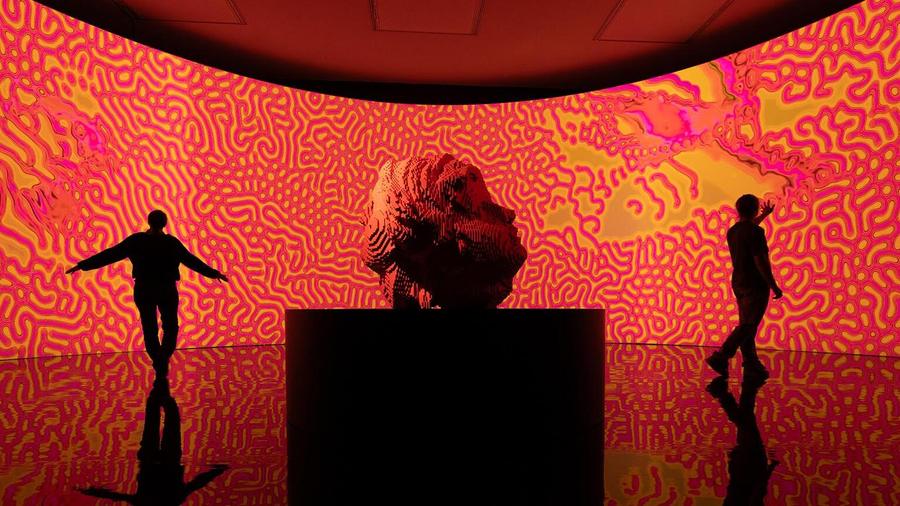 Miguel Chevalier: Digital by Nature, Digitale Ausstellung in Zwolle